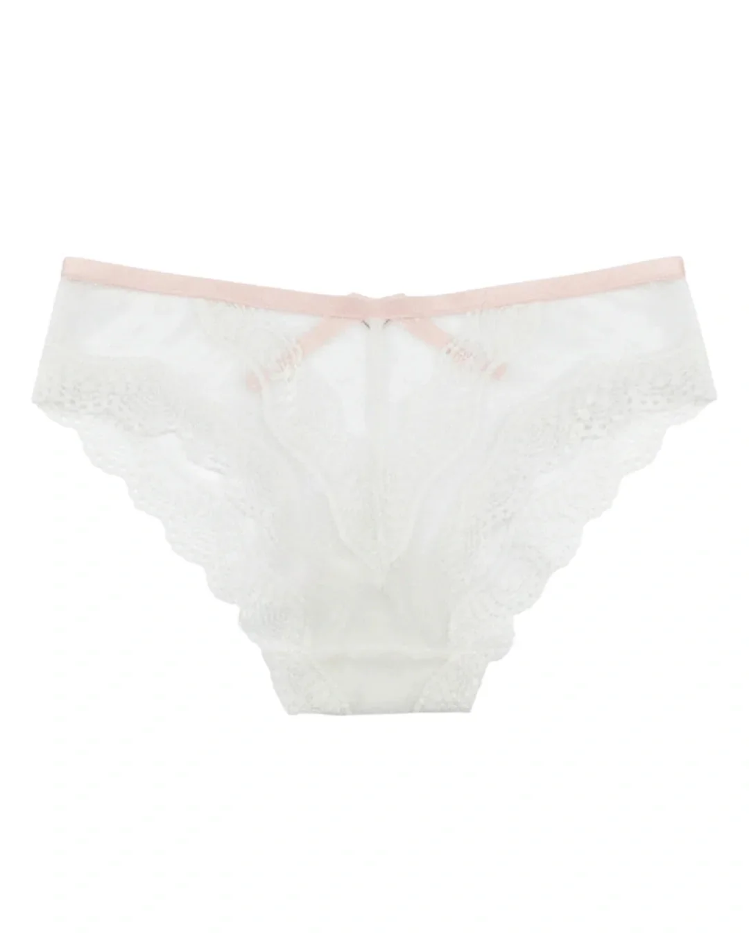 Lace Dot Mesh and Lace Brief Panty - White