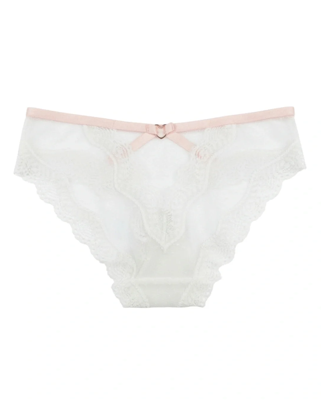 Lace Dot Mesh and Lace Brief Panty - White