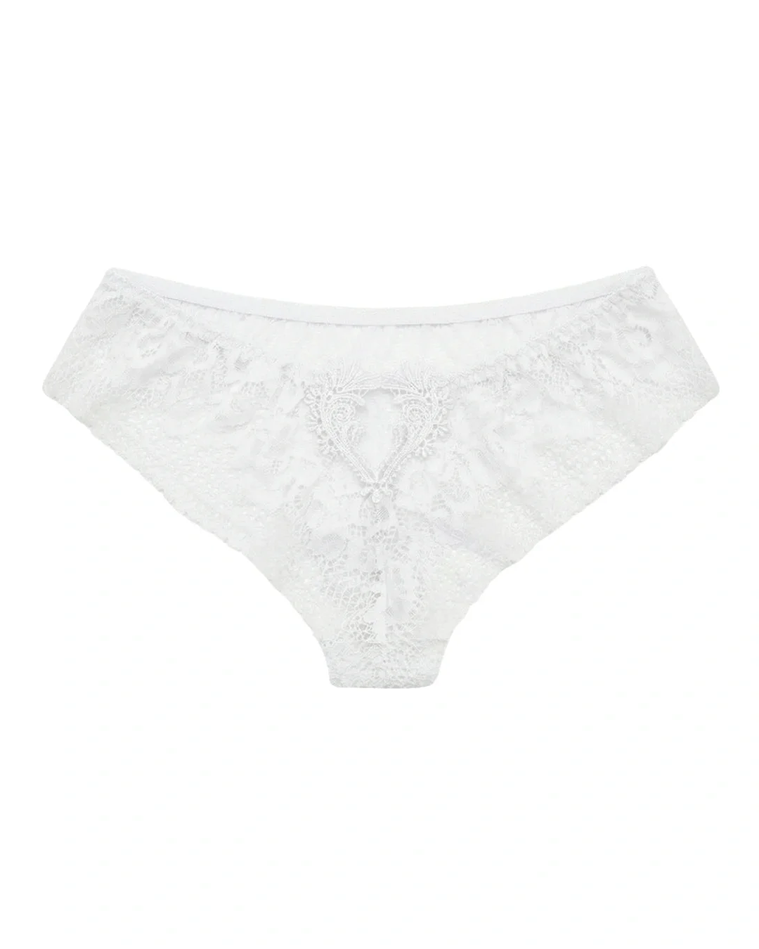Blush Amour All-Over Lace Brief Panty - White