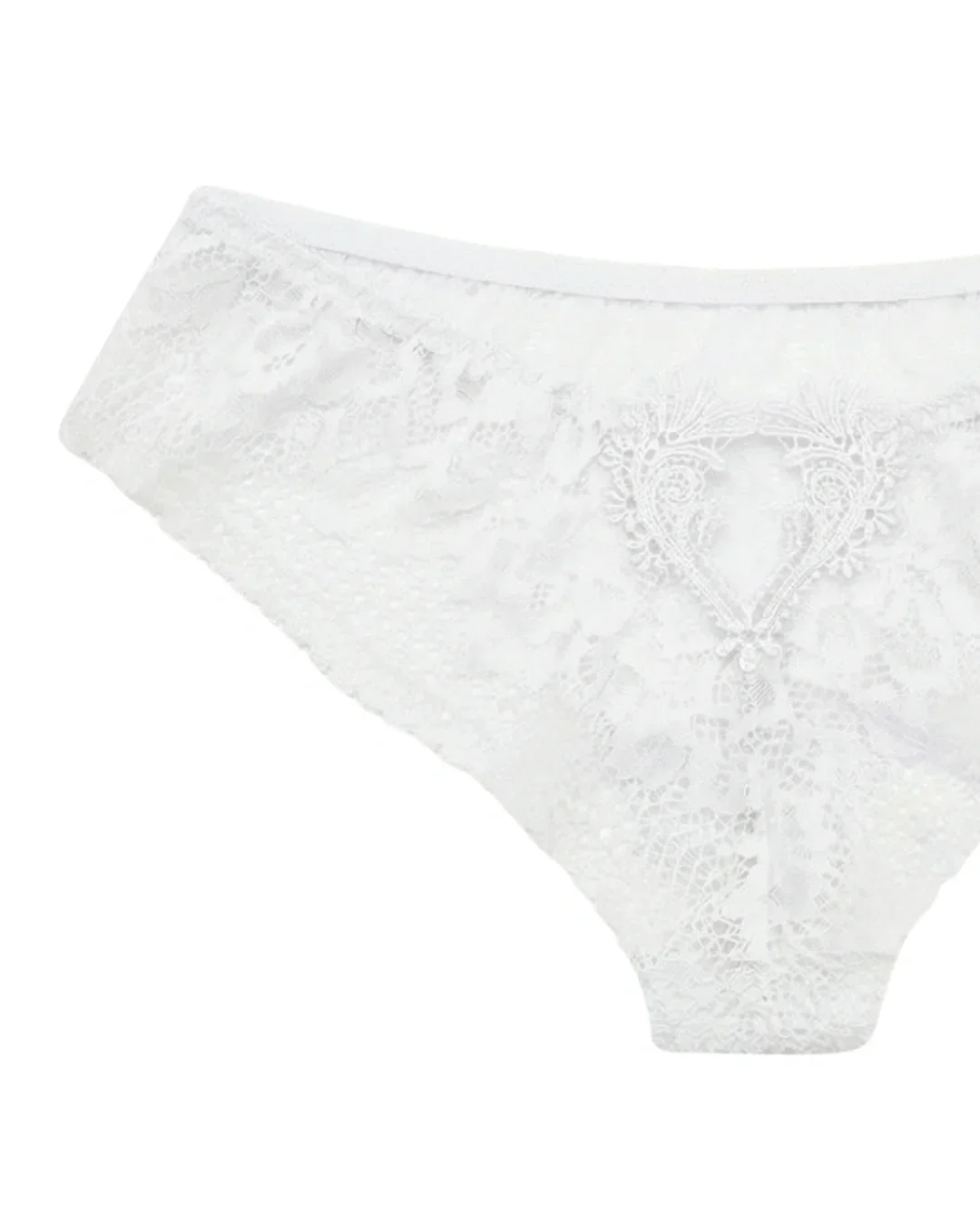 Blush Amour All-Over Lace Brief Panty - White