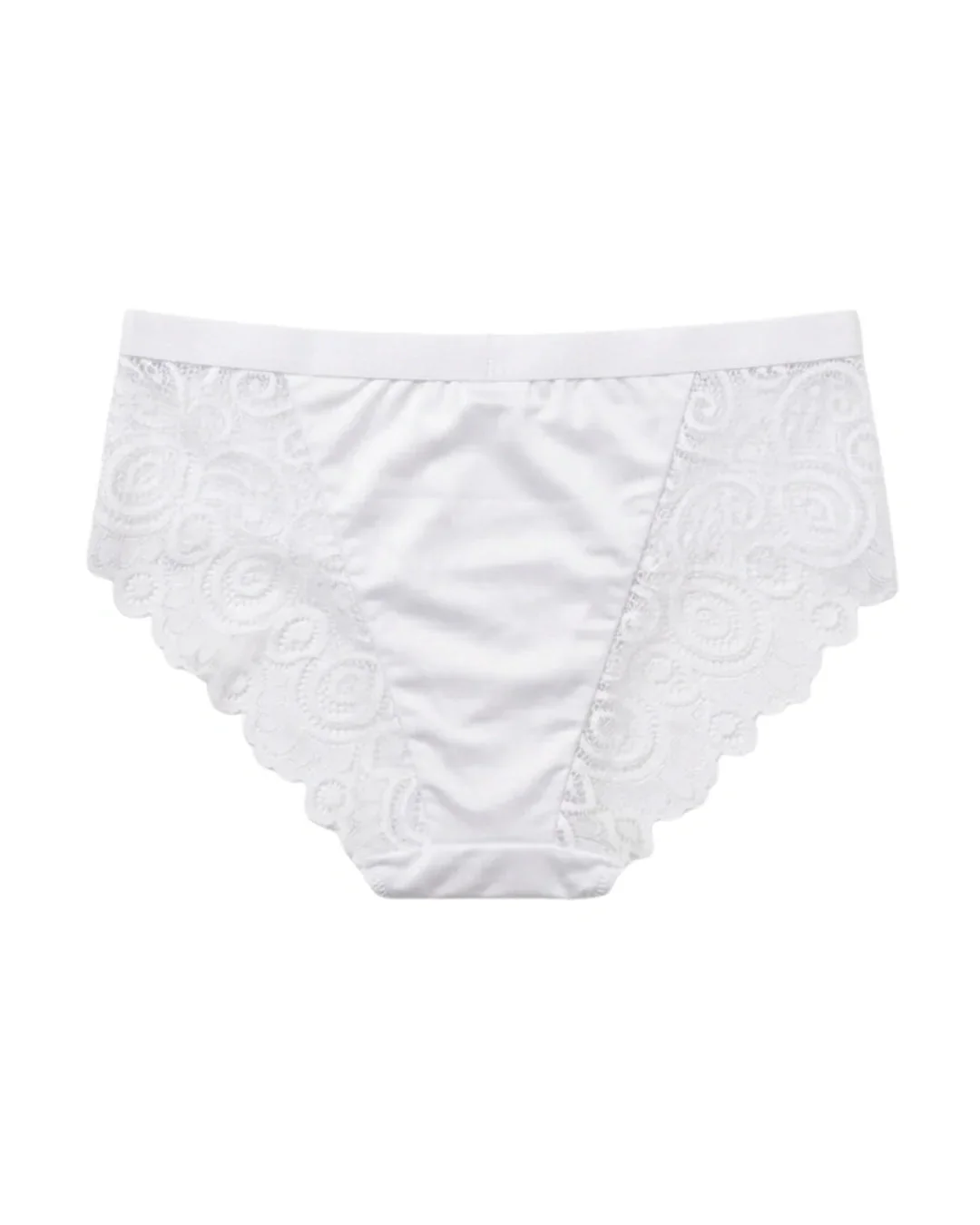 Crimson Charm Satin and Lace Brief Panty - White