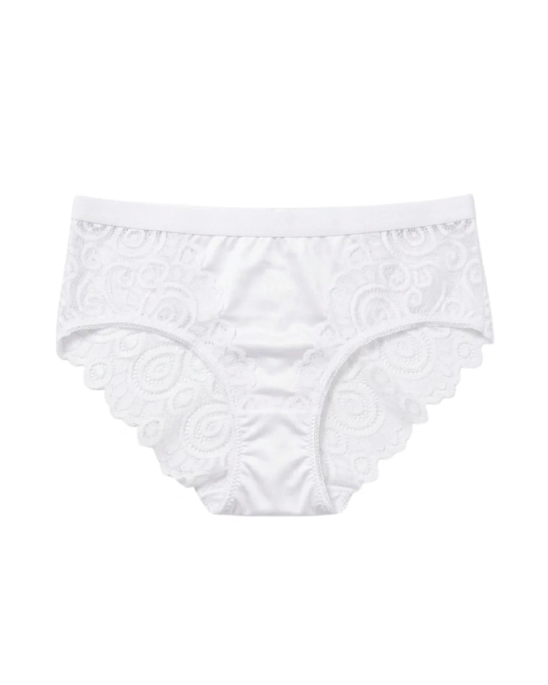 Crimson Charm Satin and Lace Brief Panty - White