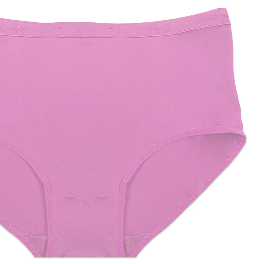 Comfort Stretch Plus Size High Waist Briefs - Pack of 3