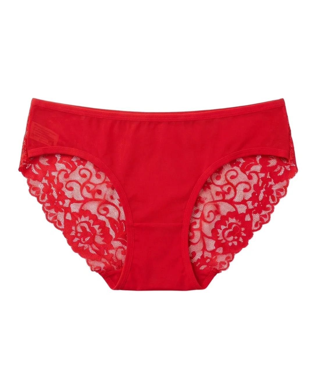 Cross Lace Sheer Mesh Brief Panty - Red