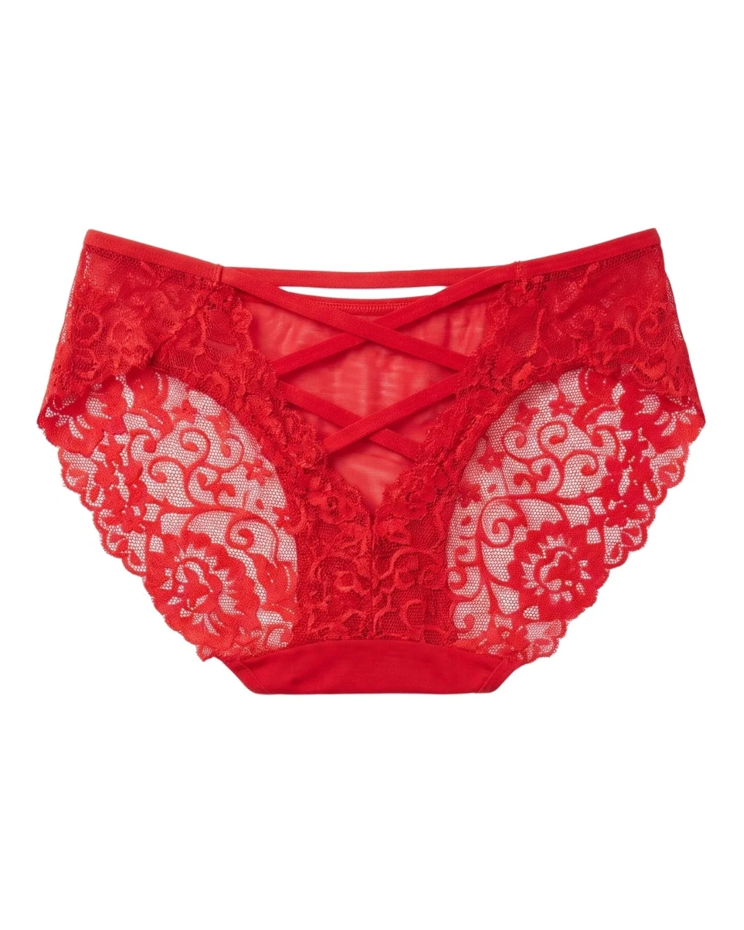 Cross Lace Sheer Mesh Brief Panty - Red