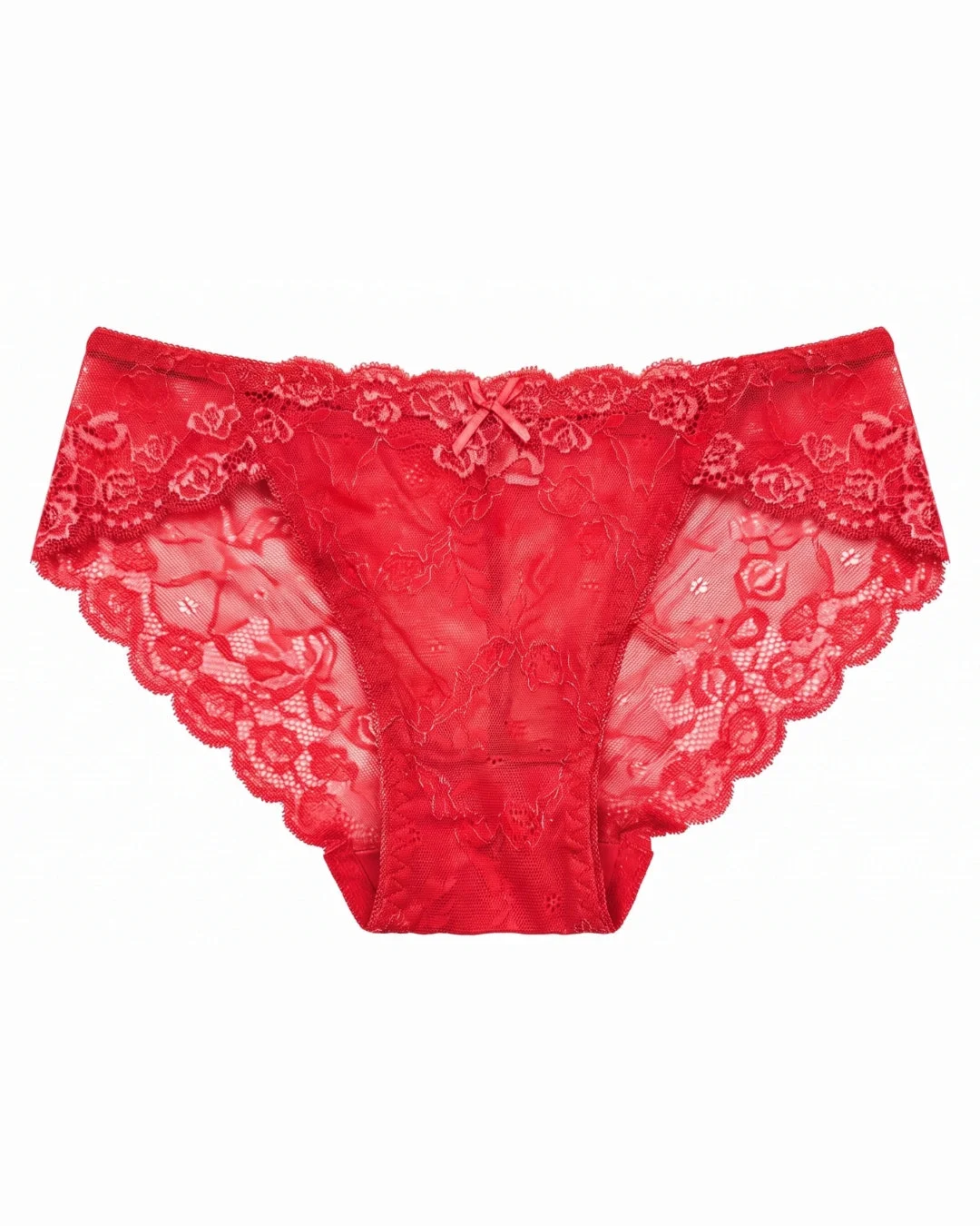 Floral Lace Brief Panty with Mesh Lining - Red