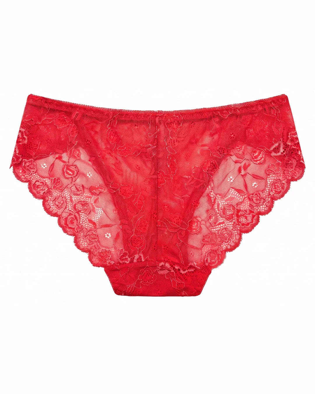 Floral Lace Brief Panty with Mesh Lining - Red